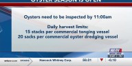 Oyster season opens in Mississippi