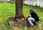 Seguimiento: retiraron los postes peligrosos del estadio de béisbol de San Rafael
