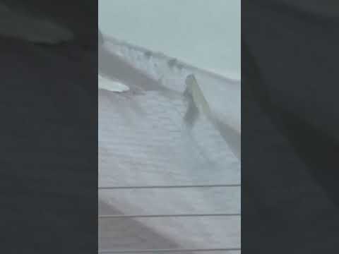 Intense wind and rain as Hurricane Melissa barrels into Jamaica #shorts