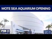 Inside Mote Marine's new sea campus