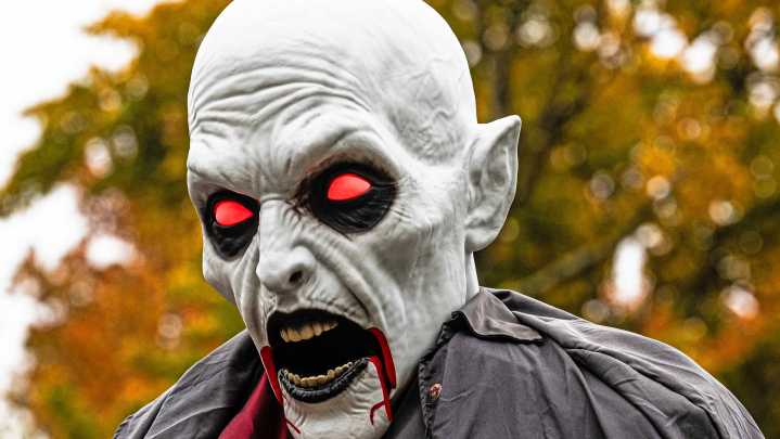 See some of the Halloween decorations at houses in Holly Oak