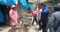 Huancayo: Desalojan a vendedores de animales por contaminación e invadir zona de evacuación (Video)