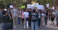 UA students protest Trump compact affecting DEI policies