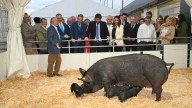 Crece un 3% la exportación de animales vivos en los siete primeros meses de 2025