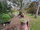 This quaint Upstate NY inn with fainting goats is America’s No. 1 haunted hotel, voters say