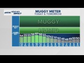 Sunny skies in the Charlotte area on Wednesday