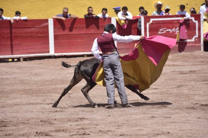 Invitan a festival en beneficio de la Academia Taurina