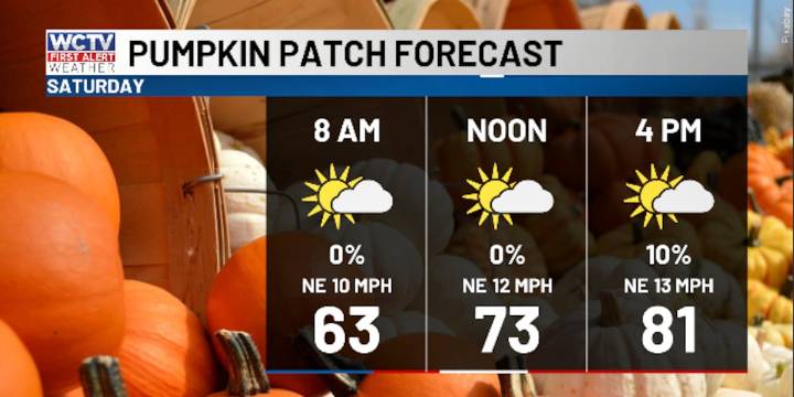 A breezy start to the weekend as fall air arrives 🍂