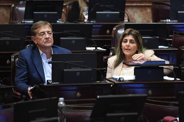 Veto a la Ley de Financiamiento Universitario: cómo votaron los senadores mendocinos