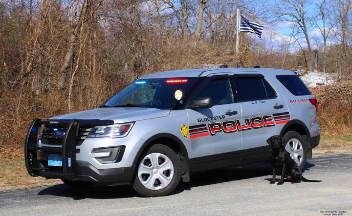Glocester Police say goat that was on the run had to be euthanized after capture