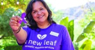 Fed cuts hurt domestic violence assistance
