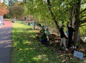Public invited to plant 500 trees in Edmonds for Arbor Day