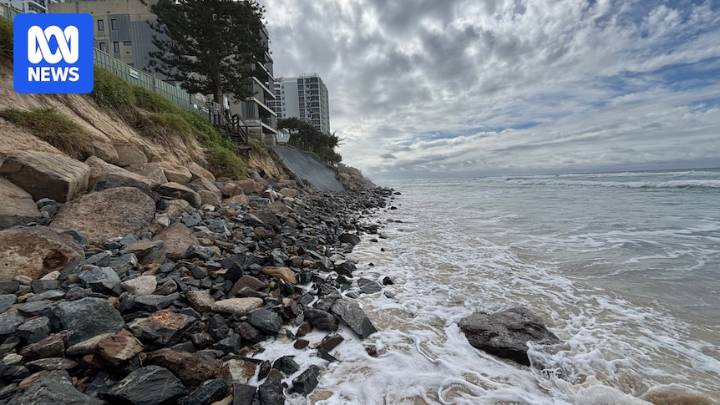 Gold Coast mayor says Qld government hoarding cyclone recovery funds