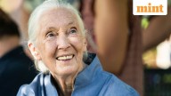 Jane Goodall, legendary conservationist and chimpanzee researcher, dies at 91