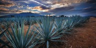 Estos son los 5 Pueblos Mágicos más visitados de México, según la IA