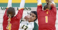 Lions win matches against Newman, Pitt State in home debut