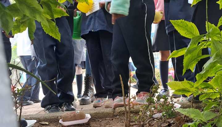 PAPNNA atendió 18 reportes por violencia sexual contra infancias y adolescencias en León