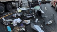 2 Furkids cats missing after vehicle totaled in I