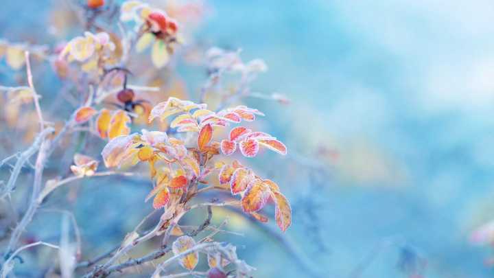 When should we expect the first fall freeze?