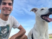 Inventó un remís para mascotas y ahora tiene una flota que lleva perros y gatos por todo el país