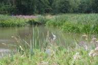 Fears county could kibosh Abbey Fields cycle path | Local News 