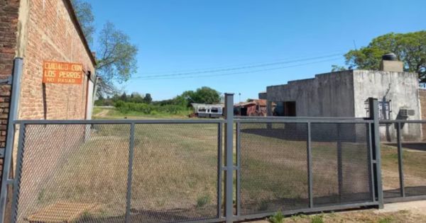 Murió un hombre tras ser atacado por un enjambre de abejas: tenía 65 años