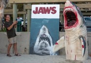 Dana Point hosts 50th anniversary “Jaws” showing at Baby Beach in Dana Point