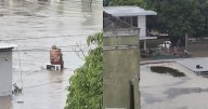 VIDEO: Abuelitos son rescatados tras permanecer abrazados sobre el techo de su casa inundada en Veracruz