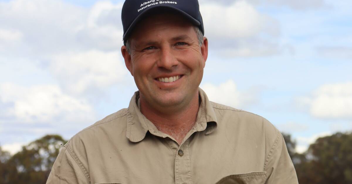 O'Meehans having a promising crop season in south east Borden
