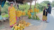 From reaping riches to facing challenges, horticulture switch leaves Rayalaseema farmers in a fix