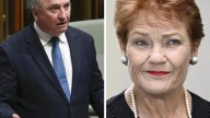 Pauline Hanson says she will ‘open doors’ for Barnaby Joyce at One Nation after split with Nationals