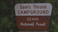 Bear believed to have attacked Arkansas camper found, killed