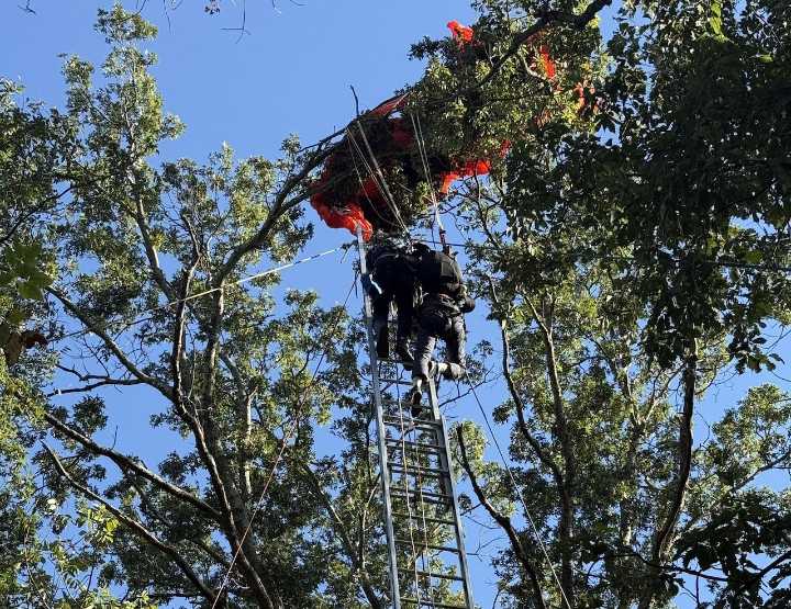 Skydiving instructor falls to death without parachute