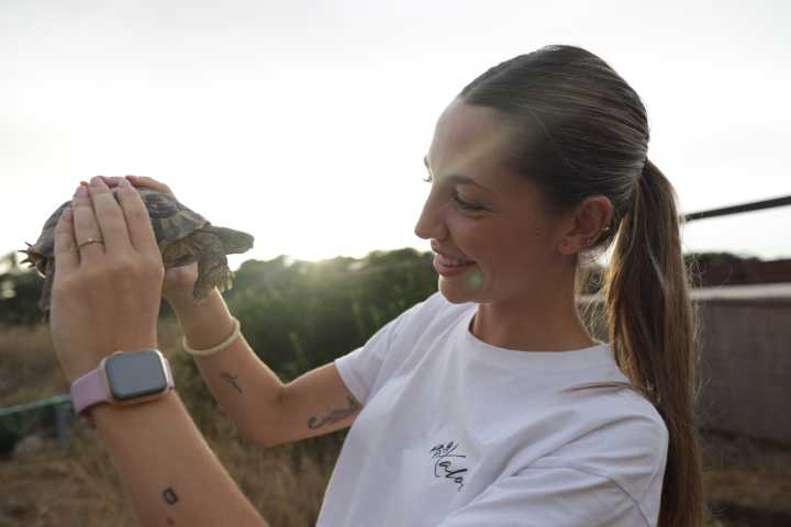 After the Floods: Saving Spain’s Turtles