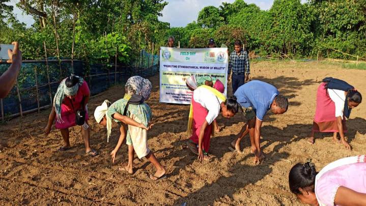 Field Day on Promoting Ethnobotanical Wisdom of Millets held in Meghalaya