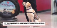City Tire announce fundraising milestone