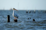 Southeast Louisiana's weather in September was hot, dry: See climate summary
