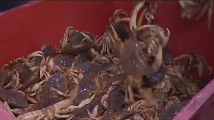 Crab season delayed, but for how long?