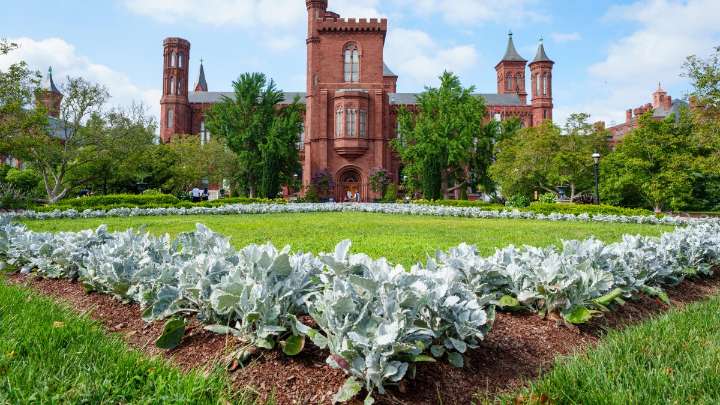 Smithsonians will stay open through Oct. 11 during the shutdown