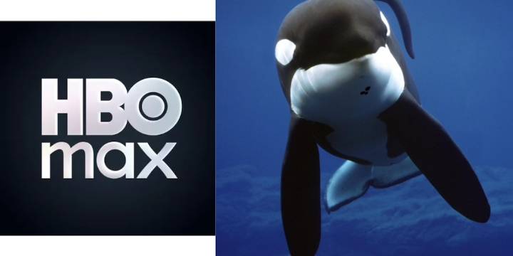 HBO revive a la ballena más querida de la historia: Liberen a Willy, la serie
