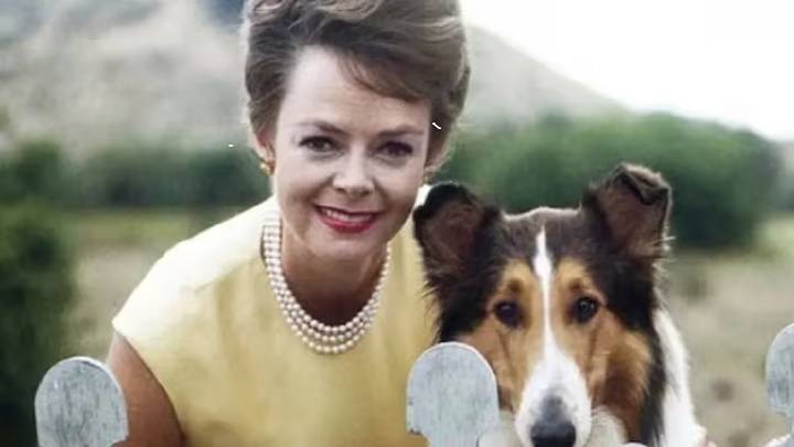 A los cien años de edad muere June Lockhart, actriz estadounidense conocida por "Lassie" y "Perdidos en el espacio"