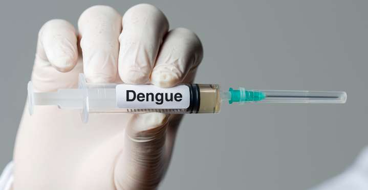 Tamil Nadu battles dengue surge with 16,546 cases, 8 deaths