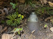 Unexploded Ordnance found in West Virginia