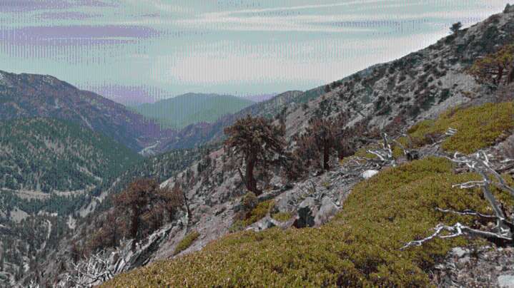 Trio of 20-year-old hikers rescued from Mt. Baldy amid inclement weather 