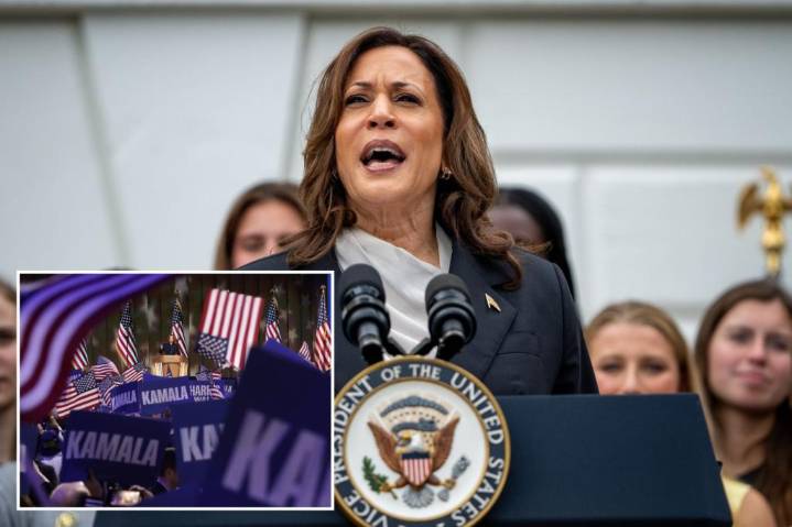 Democratic donor ditched Harris-led fundraiser with a 'profanity