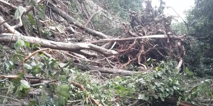 Incomunicada Oaxaca con la Cuenca; cierran la 175 de Valle Nacional a la capital