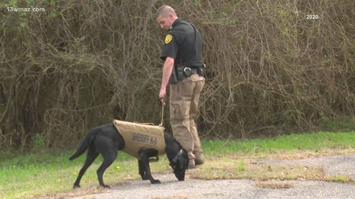 Twiggs County Sheriff's Office recognizing K9 of 11 years ahead of their retirement