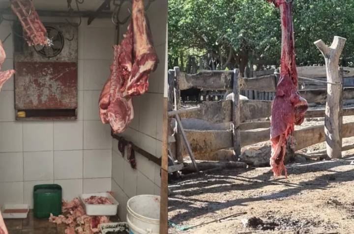 Decomisan 4.000 kilos de carne de faena clandestina y clausuran un comercio en Clodomira