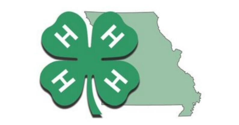 Carter Media interviews students for National 4H Week