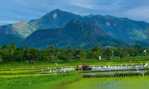 Kerala to focus on health and spiritual travellers with 20% increase in tourism budget